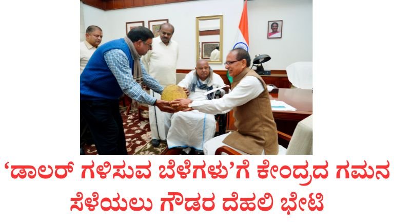 ₹3000 ಕೋಟಿ ಬಜೆಟ್ ಬೇಡಿಕೆ: ನಿರ್ಮಲಾ ಭೇಟಿಯಲ್ಲಿ ದೇವೇಗೌಡರ ಕೃಷಿ ಅಜೆಂಡಾ