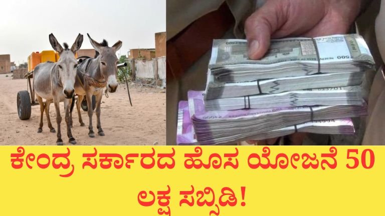 ಕತ್ತೆ ಸಾಕಾಣಿಕೆ ಮಾಡಿದರೆ 50 ಲಕ್ಷ ಸಬ್ಸಿಡಿ